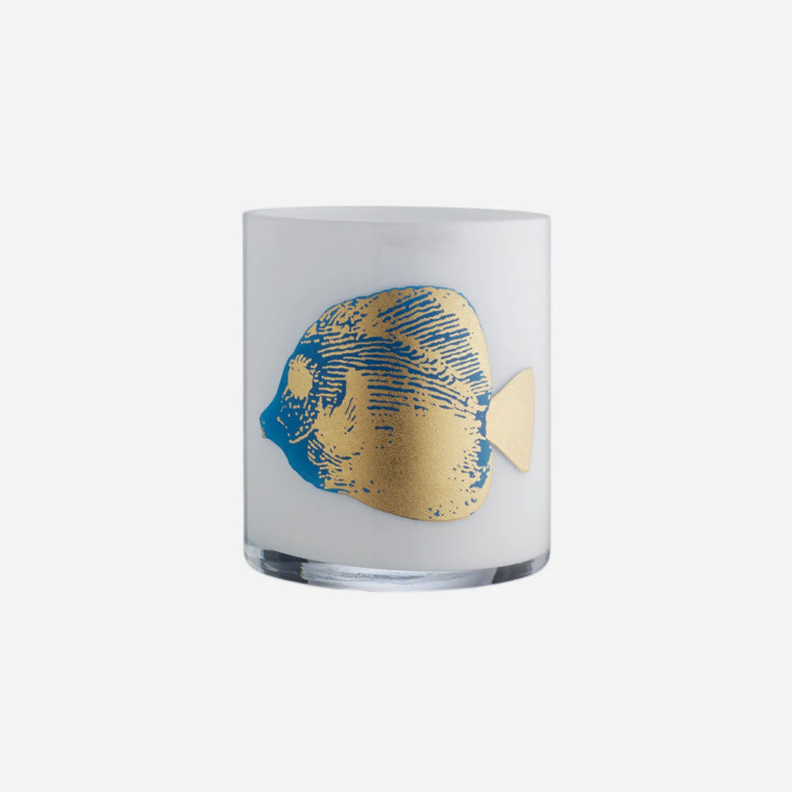 aquaria_turquoise_fish_va_0.webp Aquaria Turquoise Fish Vase