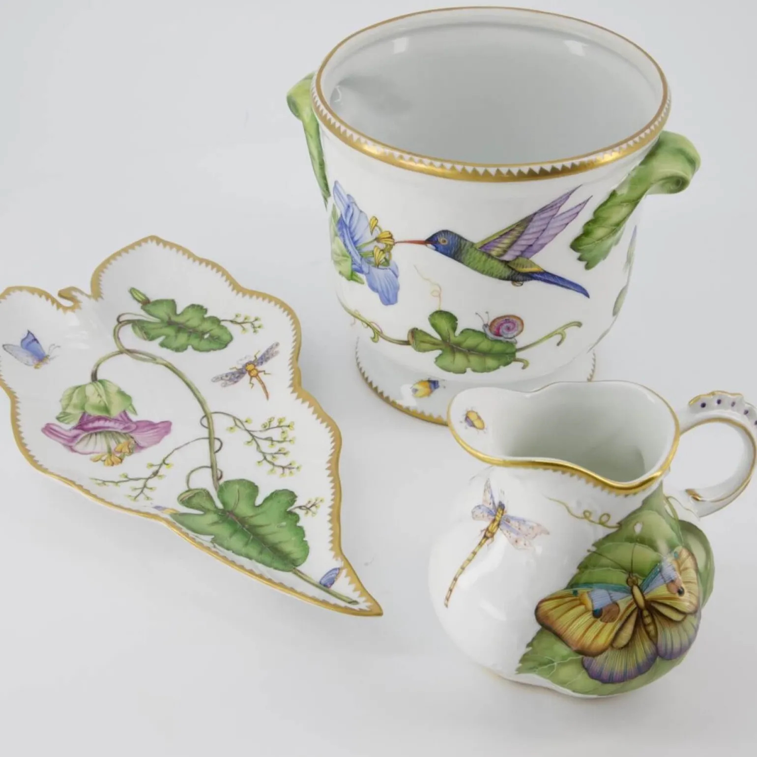 exotic_butterfly_pitcher_1.webp Exotic Butterfly Pitcher