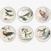 Grands Oiseaux Dinner Plates  - Set of 6