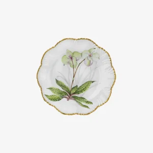 Histoires d'Orchidées Dinner Plates - Set of 6