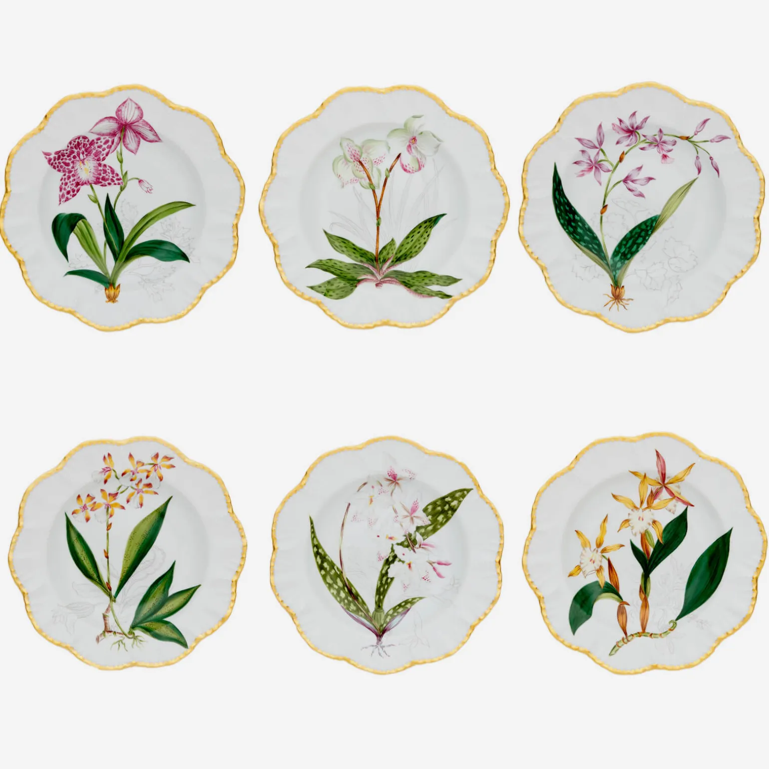 histoires_dorchides_soup__0.webp Histoires d'Orchidées Soup Plates - Set of 6