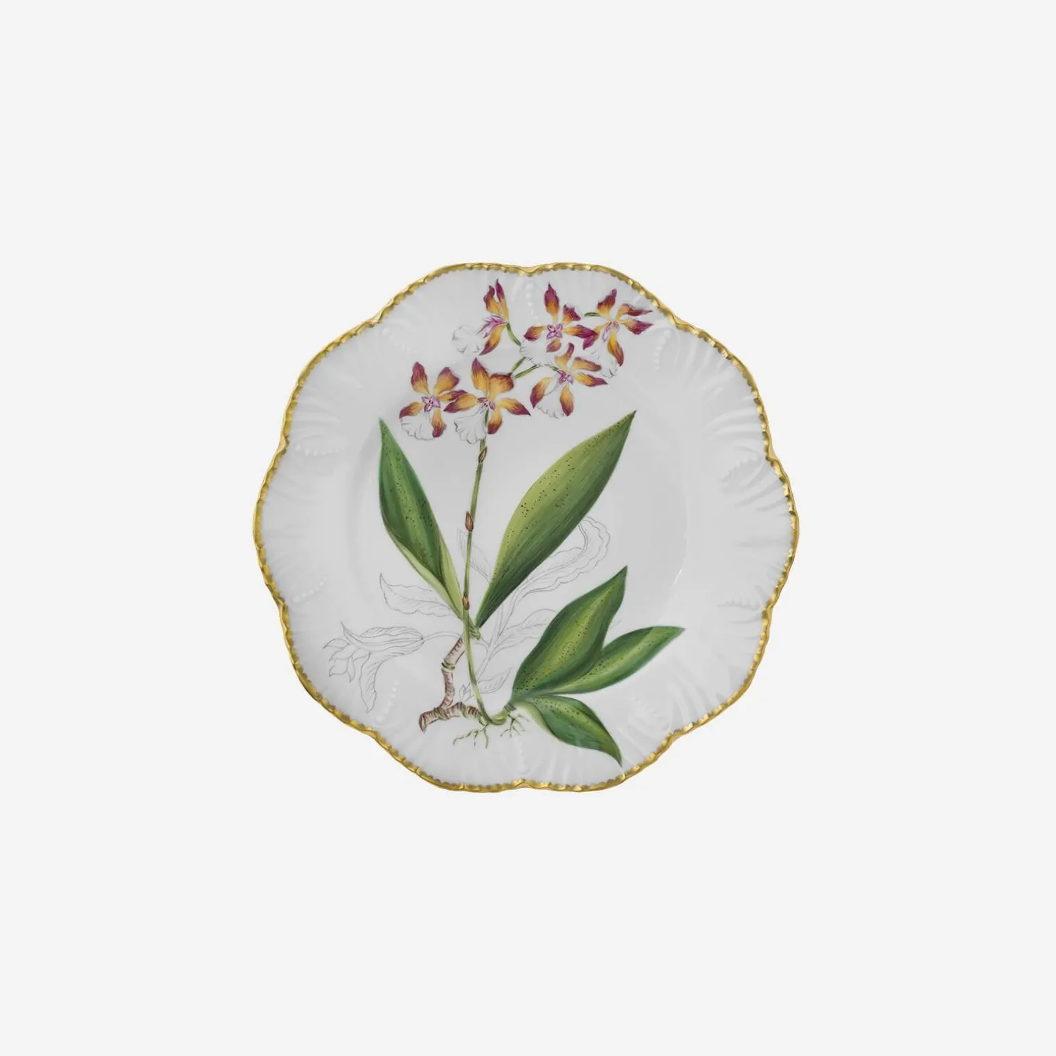 histoires_dorchides_soup__5.webp Histoires d'Orchidées Soup Plates - Set of 6