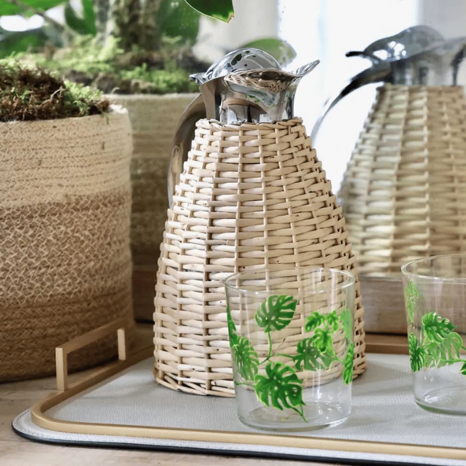 monstera_tumbler_1.webp Monstera Tumbler