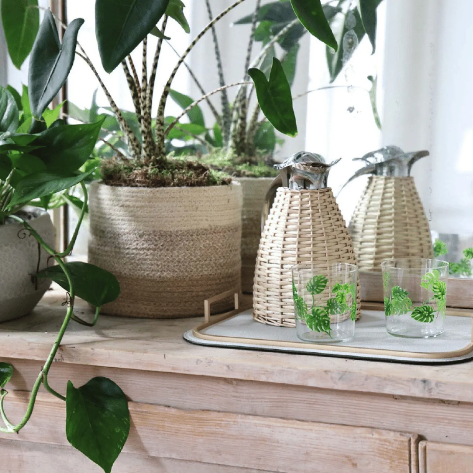 monstera_tumbler_2.webp Monstera Tumbler