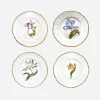 Old Master Tulips Dinner Plate - Set of 4