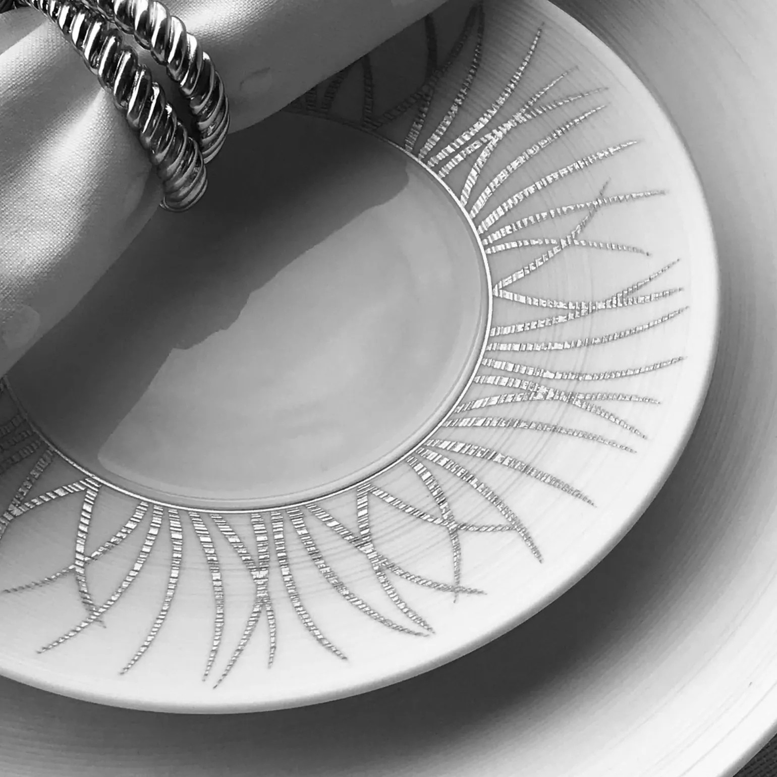 toundra_platinum_dinner_p_2.webp Toundra Platinum Dinner Plate